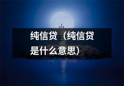 纯信贷(纯信贷是什么意思)