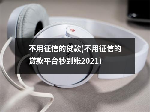 不用征信的贷款(不用征信的贷款平台秒到账2021)