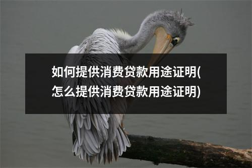 如何提供消费贷款用途证明(怎么提供消费贷款用途证明)