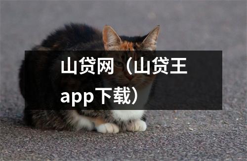 山贷网（山贷王app下载）