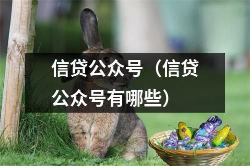 信贷公众号(信贷公众号有哪些)
