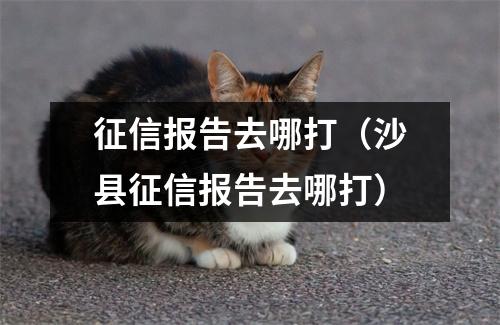 征信报告去哪打（沙县征信报告去哪打）