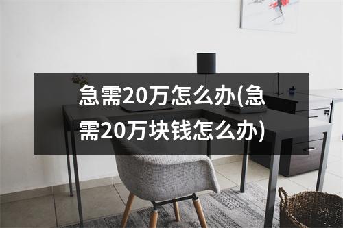 急需20万怎么办(急需20万块钱怎么办)