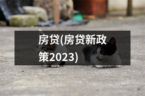 房贷(房贷新政策2023)