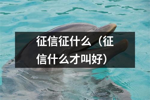 征信征什么（征信什么才叫好）