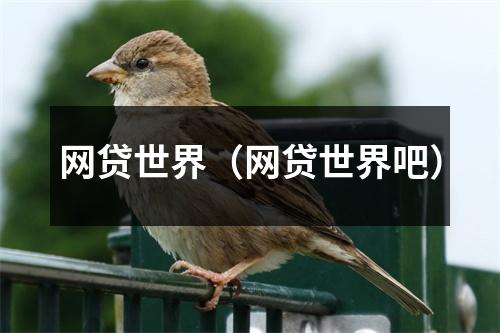 网贷世界（网贷世界吧）