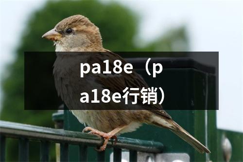 pa18e（pa18e行销）