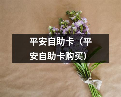 平安自助卡（平安自助卡购买）