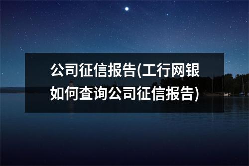 公司征信报告(工行网银如何查询公司征信报告)