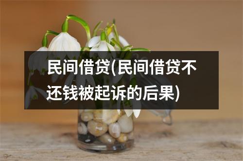民间借贷(民间借贷不还钱被起诉的后果)