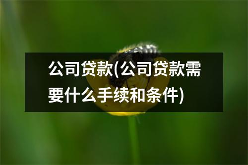 公司贷款(公司贷款需要什么手续和条件)