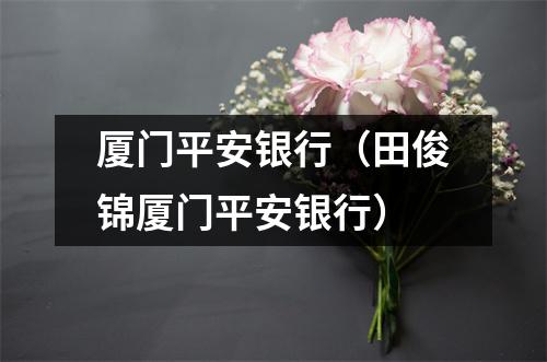 厦门平安银行（田俊锦厦门平安银行）