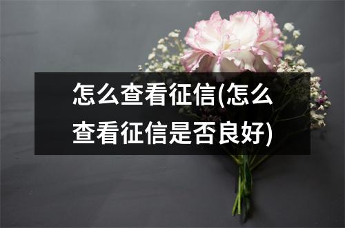 怎么查看征信(怎么查看征信是否良好)