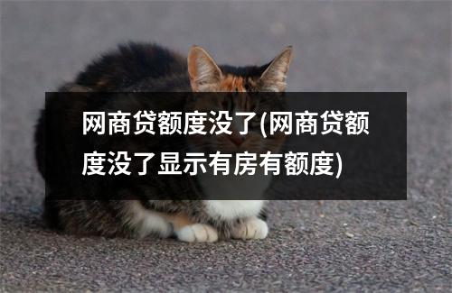 网商贷额度没了(网商贷额度没了显示有房有额度)