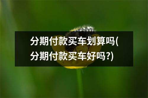 分期付款买车划算吗(分期付款买车好吗?)