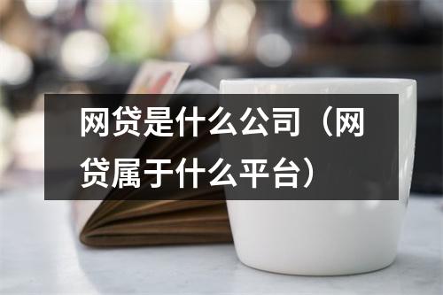 网贷是什么公司（网贷属于什么平台）