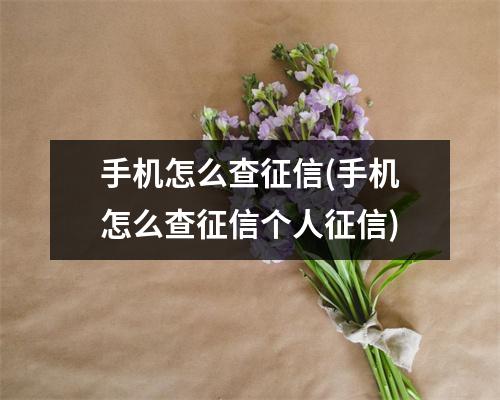 手机怎么查征信(手机怎么查征信个人征信)