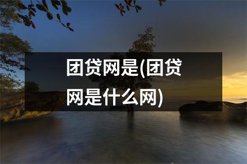 团贷网是(团贷网是什么网)