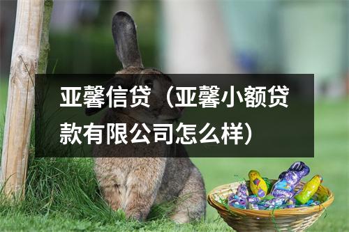 亚馨信贷(亚馨小额贷款有限公司怎么样)