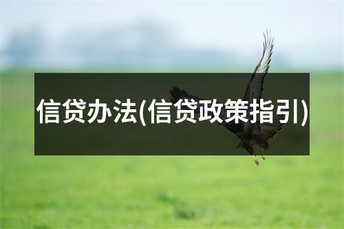 信贷办法(信贷政策指引)