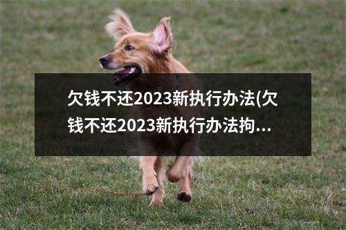 欠钱不还2023新执行办法(欠钱不还2023新执行办法拘留180天)