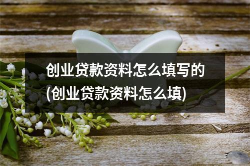 创业贷款资料怎么填写的(创业贷款资料怎么填)