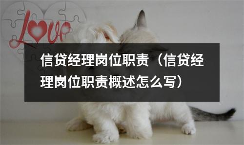信贷经理岗位职责(信贷经理岗位职责概述怎么写)