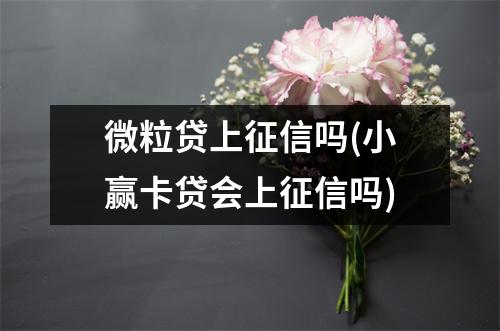 微粒贷上征信吗(小赢卡贷会上征信吗)