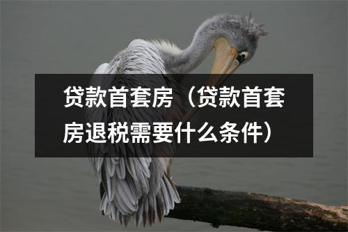 贷款首套房（贷款首套房退税需要什么条件）