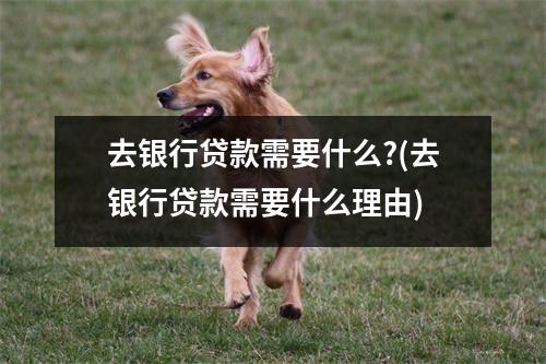 去银行贷款需要什么?(去银行贷款需要什么理由)