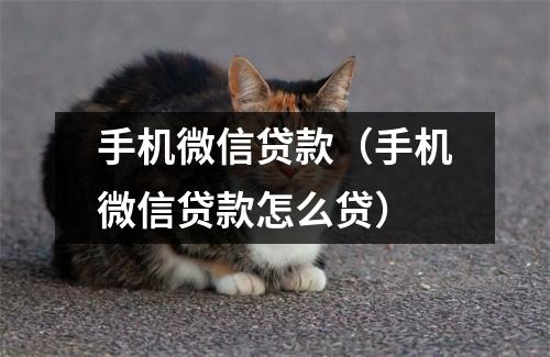 手机微信贷款（手机微信贷款怎么贷）