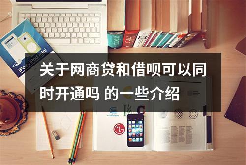 关于网商贷和借呗可以同时开通吗 的一些介绍