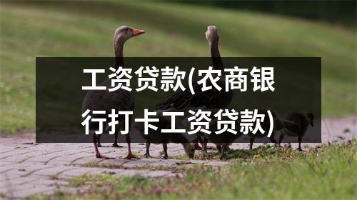 工资贷款(农商银行打卡工资贷款)