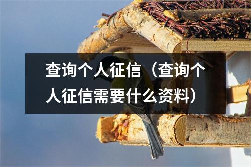 查询个人征信（查询个人征信需要什么资料）