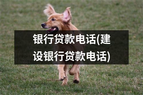 银行贷款电话(建设银行贷款电话)
