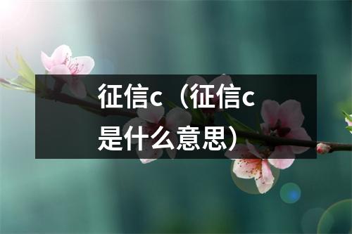 征信c（征信c是什么意思）