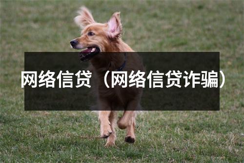 网络信贷（网络信贷诈骗）