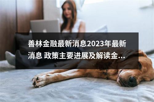 善林金融最新消息2023年最新消息 政策主要进展及解读金融政策