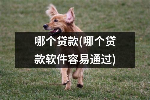 哪个贷款(哪个贷款软件容易通过)