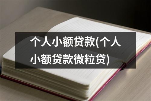 个人小额贷款(个人小额贷款微粒贷)