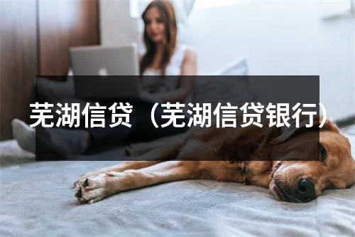 芜湖信贷（芜湖信贷银行）