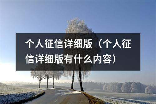 个人征信详细版（个人征信详细版有什么内容）