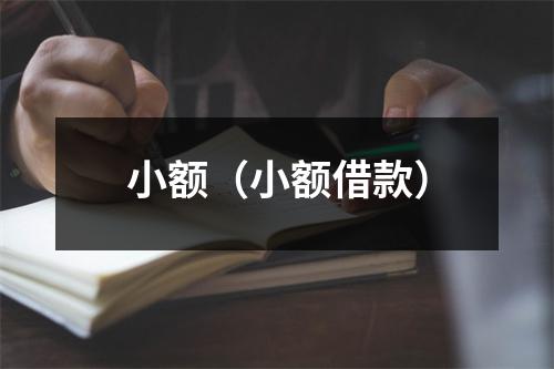 小额（小额借款）