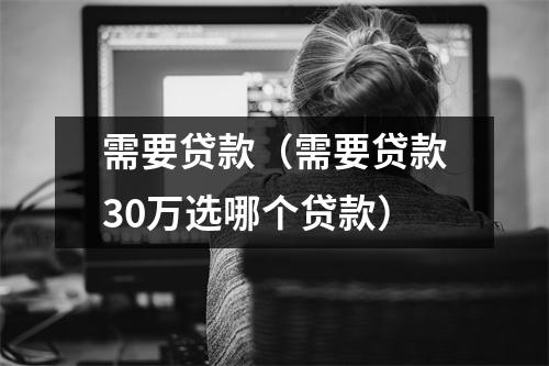 需要贷款(需要贷款30万选哪个贷款)