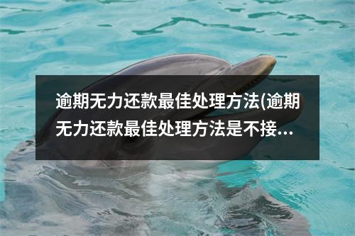 逾期无力还款最佳处理方法(逾期无力还款最佳处理方法是不接电话)