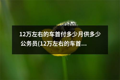12万左右的车首付多少月供多少 公务员(12万左右的车首付多少每月还贷多少)