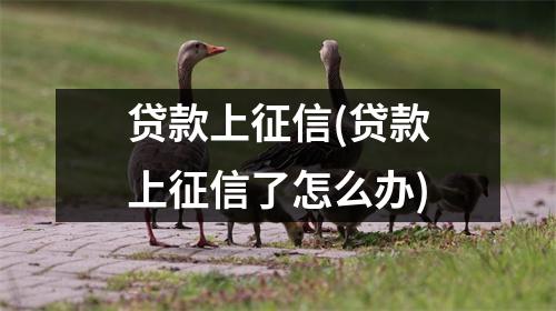 贷款上征信(贷款上征信了怎么办)