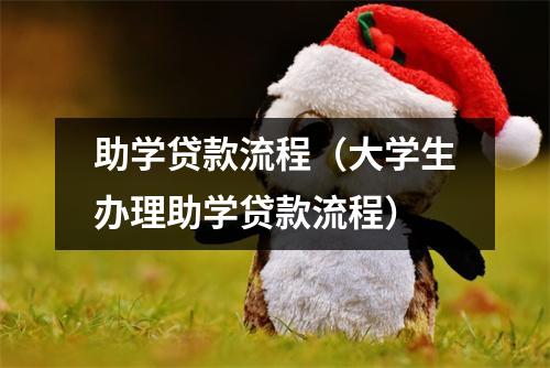 助学贷款流程（大学生办理助学贷款流程）