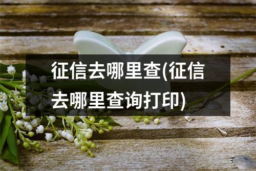 征信去哪里查(征信去哪里查询打印)