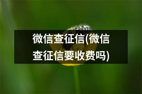 微信查征信(微信查征信要收费吗)